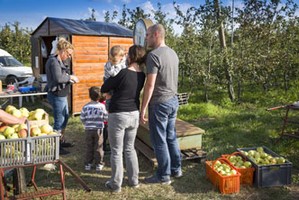 Vente directe au magasin producteur